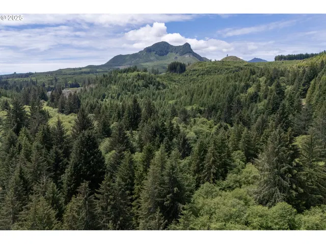 37307 Linda Ln, Seaside, OR 97138 — photograph 4