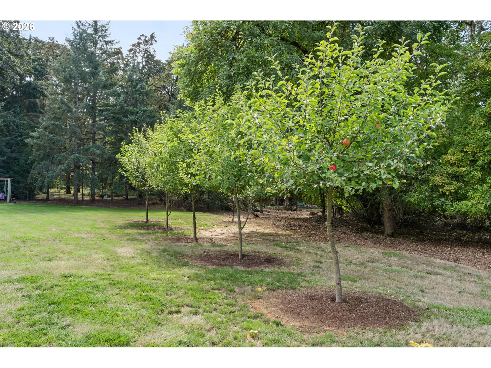 26385 Shady Oak Dr, Monroe, OR 97456 — photograph 34