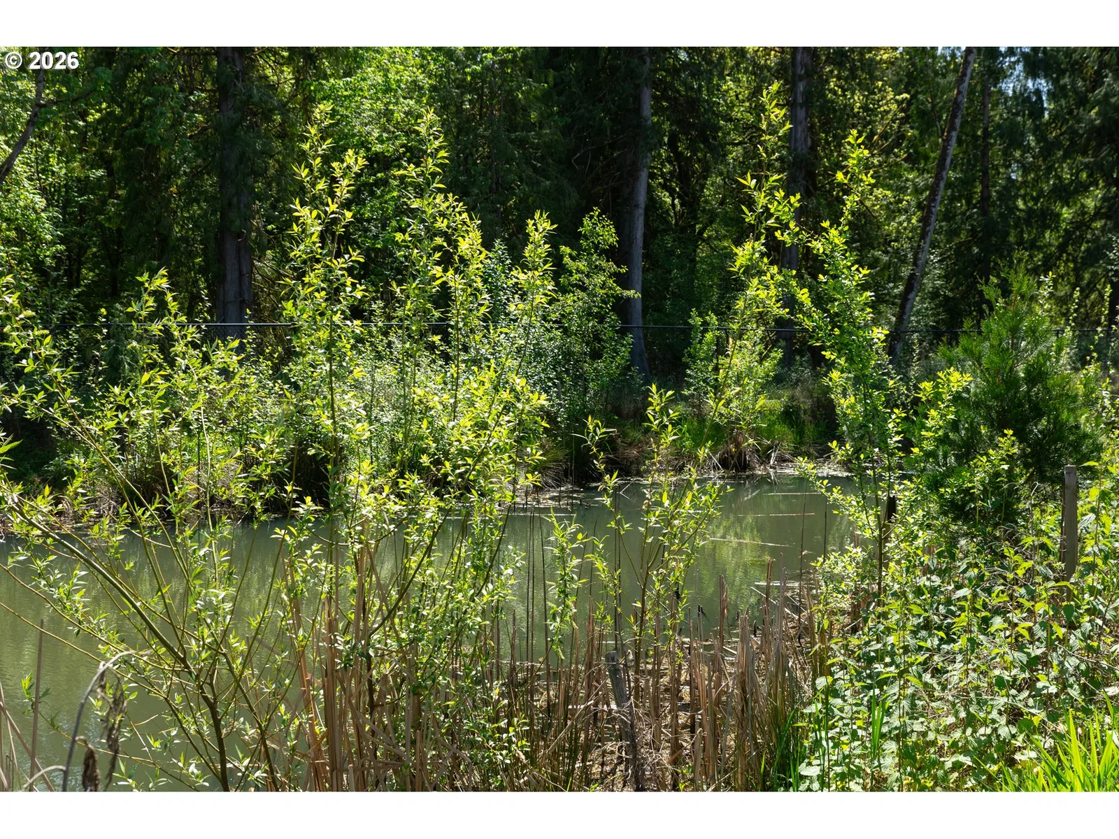 512 SW 31st St, Battle Ground, Wa 98604 — photograph 14