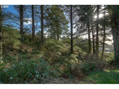 Pirates Way, Manzanita, OR 97130 — photograph 1