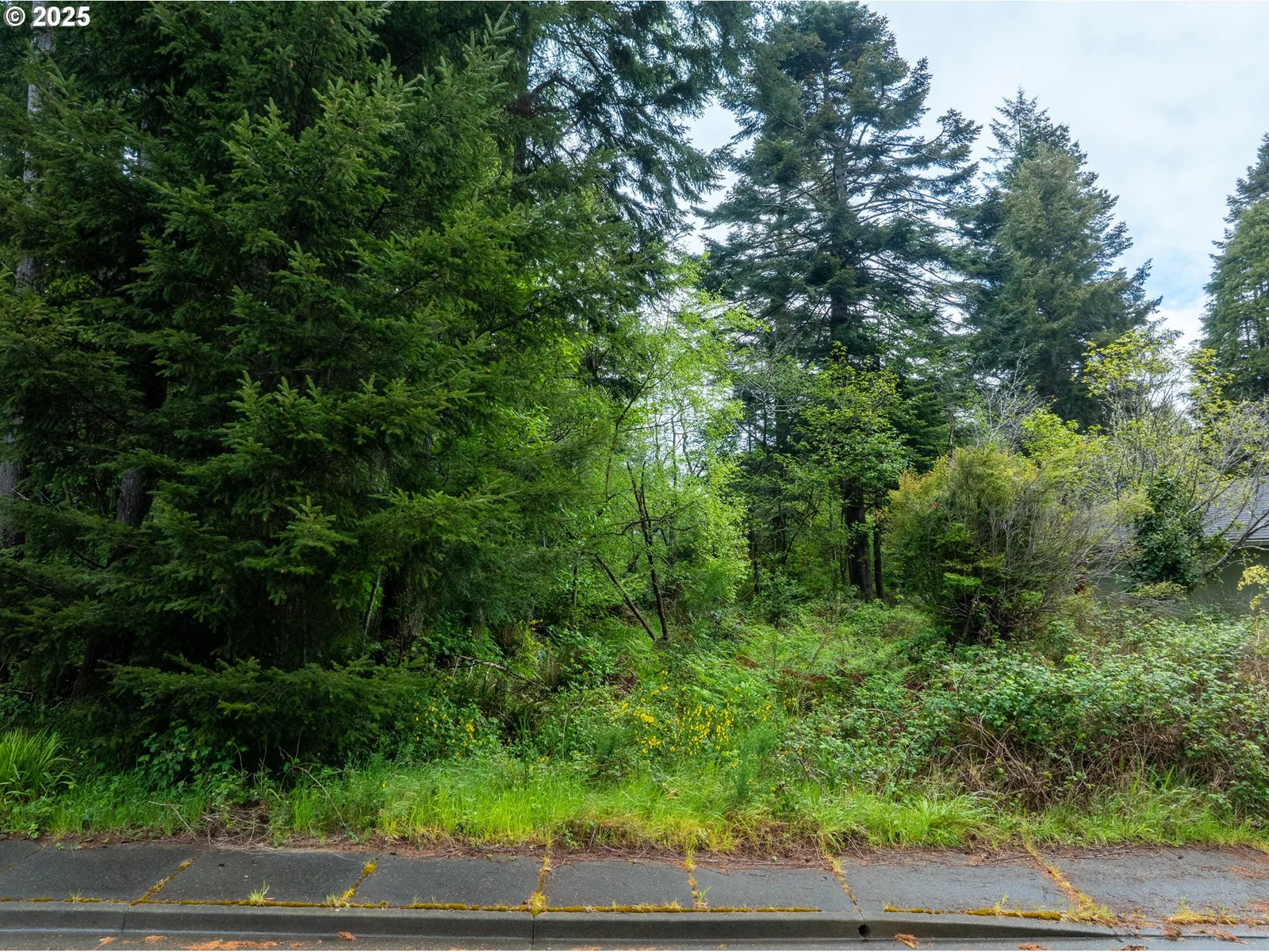 0 9th St, Bandon, OR 97411 — photograph 15