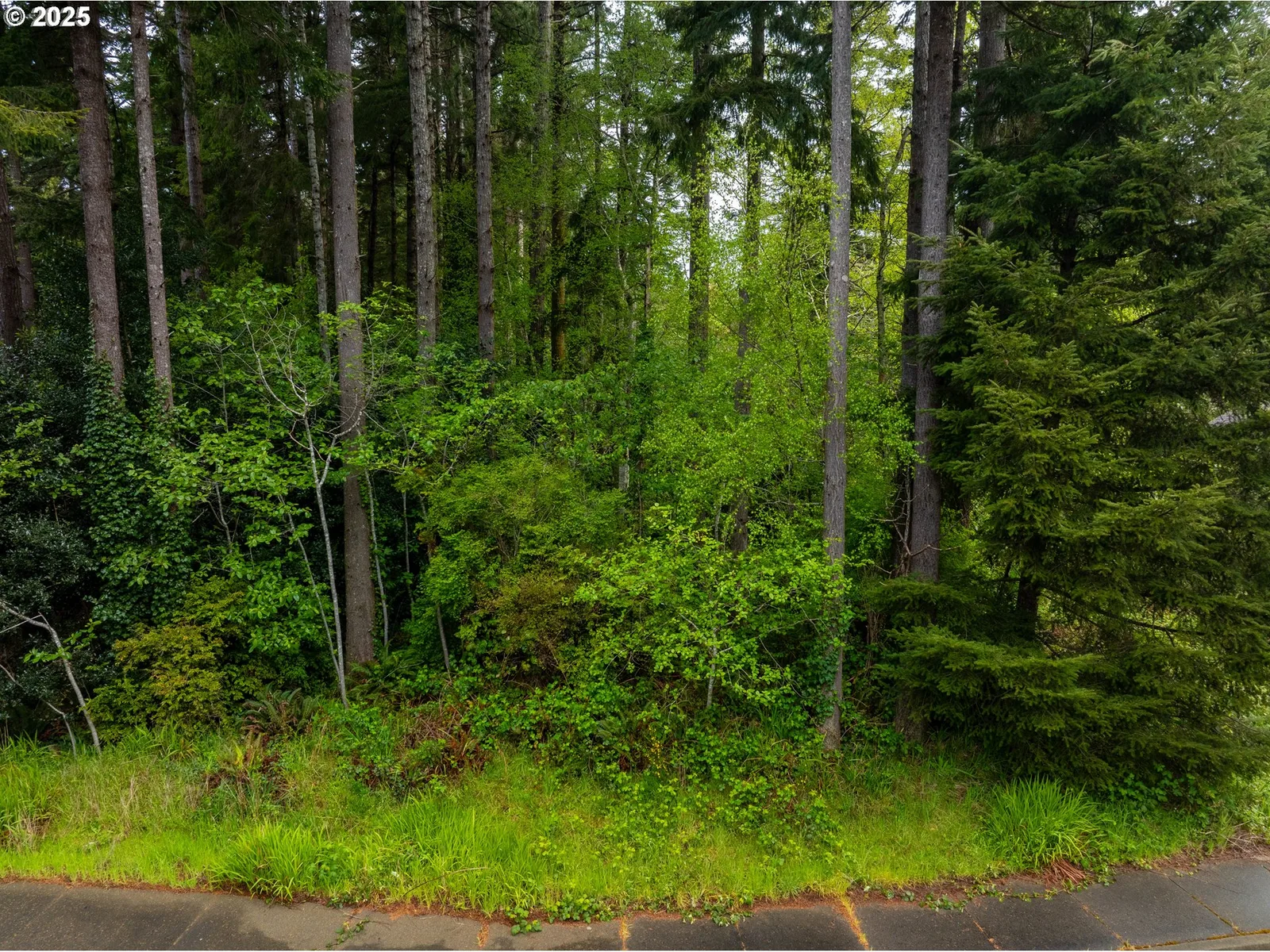 0 9th St, Bandon, OR 97411 — photograph 14