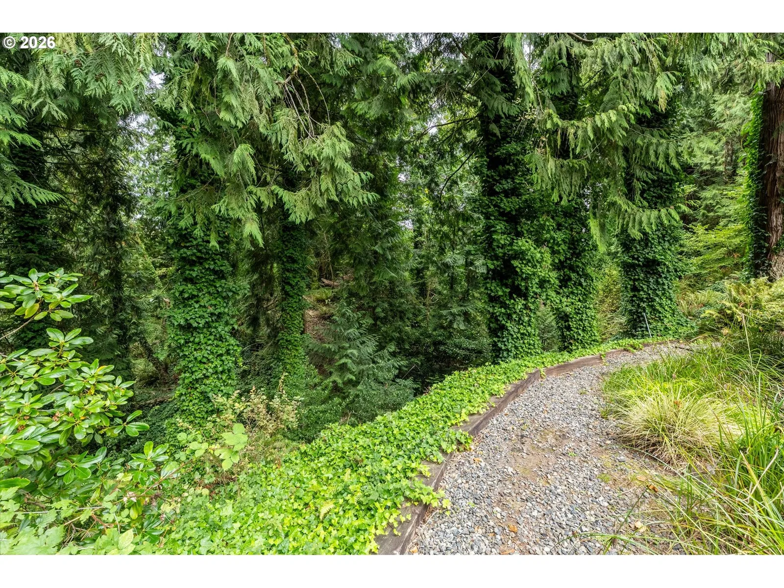 1005 N 22nd Ave, Kelso, Wa 98626 — photograph 39