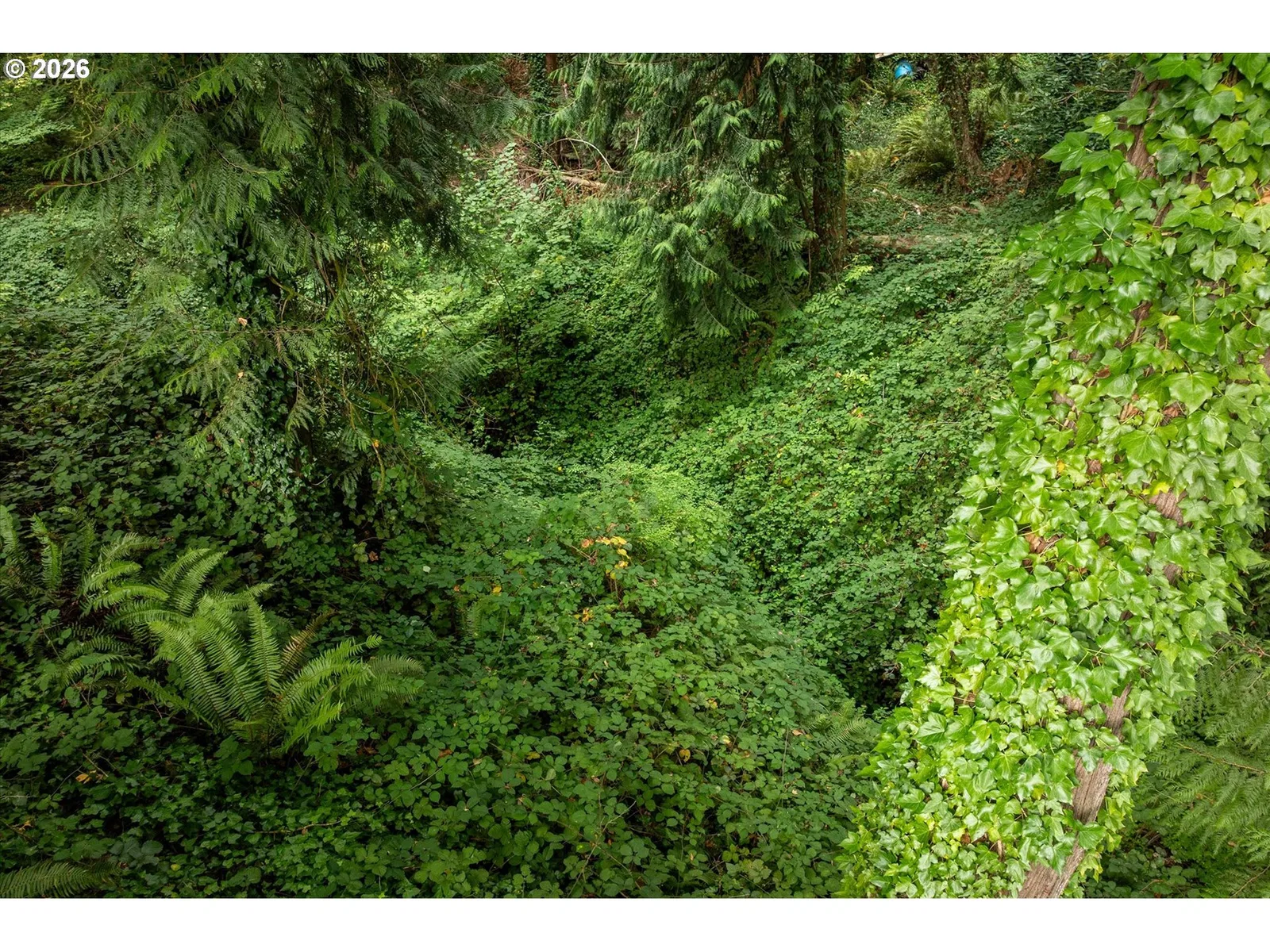 1005 N 22nd Ave, Kelso, Wa 98626 — photograph 40