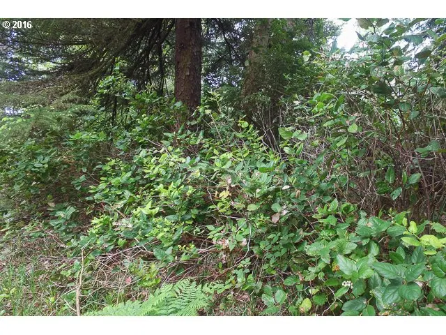 Puffin Ln 1200, Manzanita, OR 97130 — photograph 4