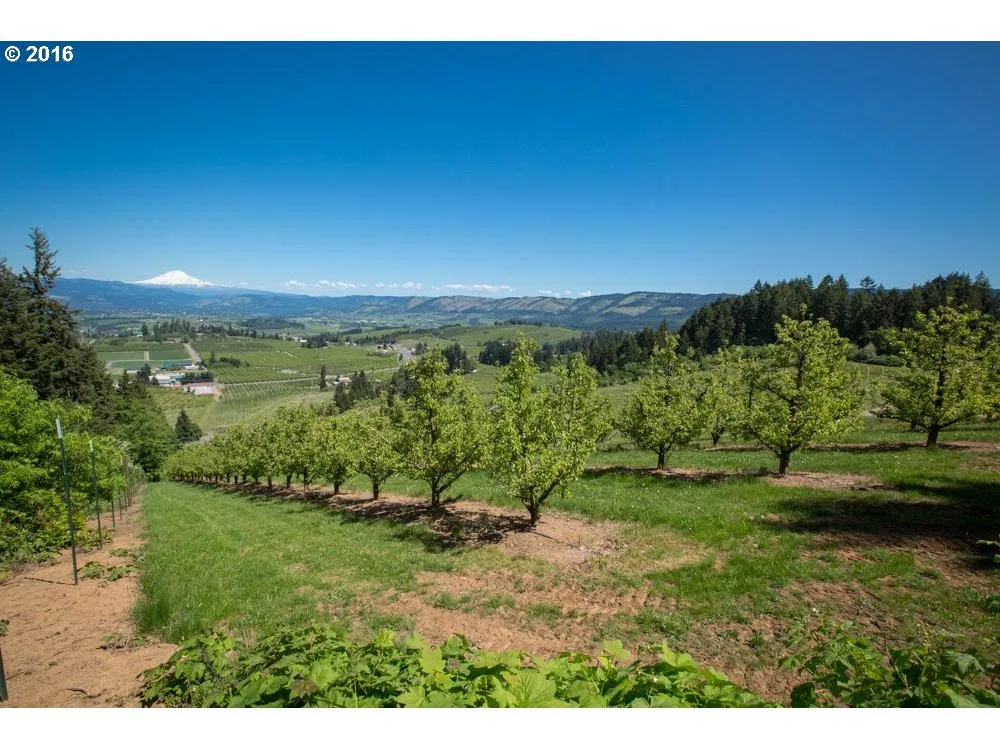 4245 Hwy 35, Hood River, OR 97031 — photograph 11