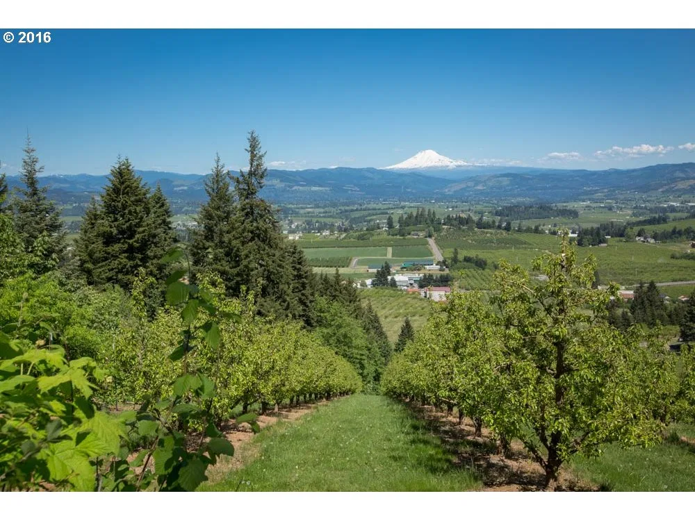4245 Hwy 35, Hood River, OR 97031 — photograph 15