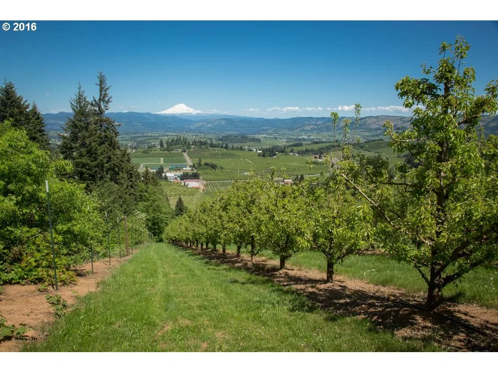 4245 Hwy 35, Hood River, OR 97031 — photograph 16
