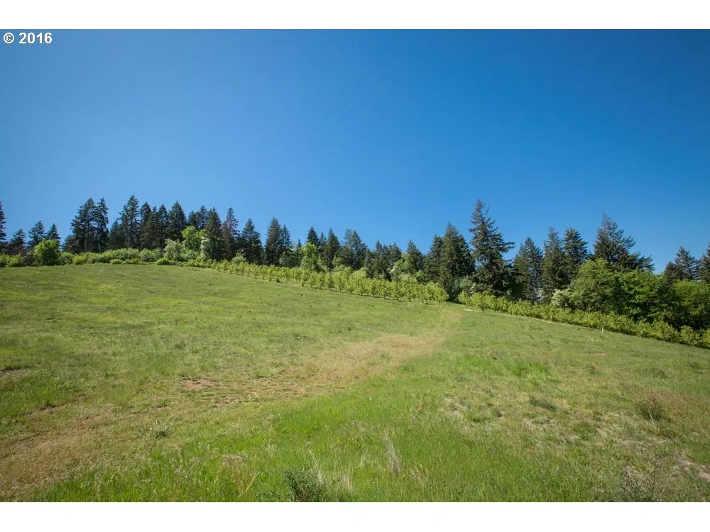 4245 Hwy 35, Hood River, OR 97031 — photograph 23