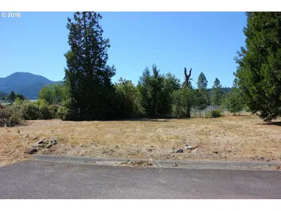 Land at Christel Ln, Oakridge, OR 97463 (Pending)