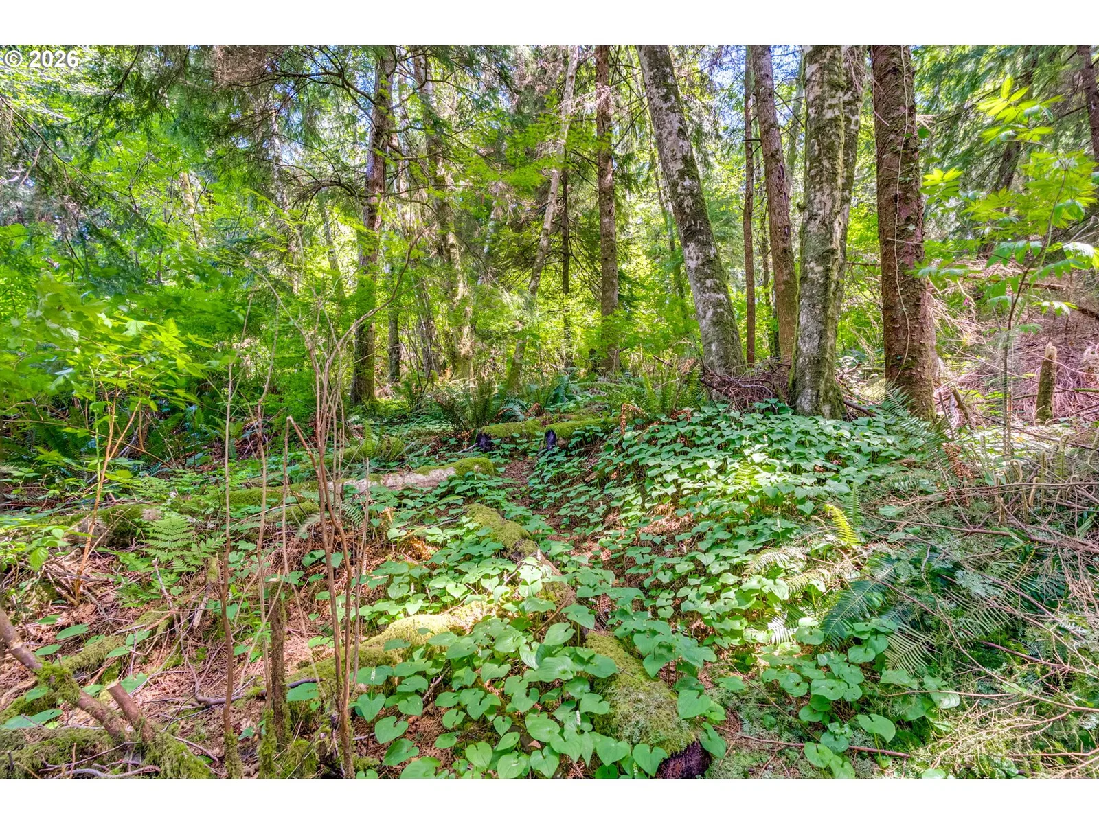 Block 9 Lot 5, Wheeler, OR 97147 — photograph 31