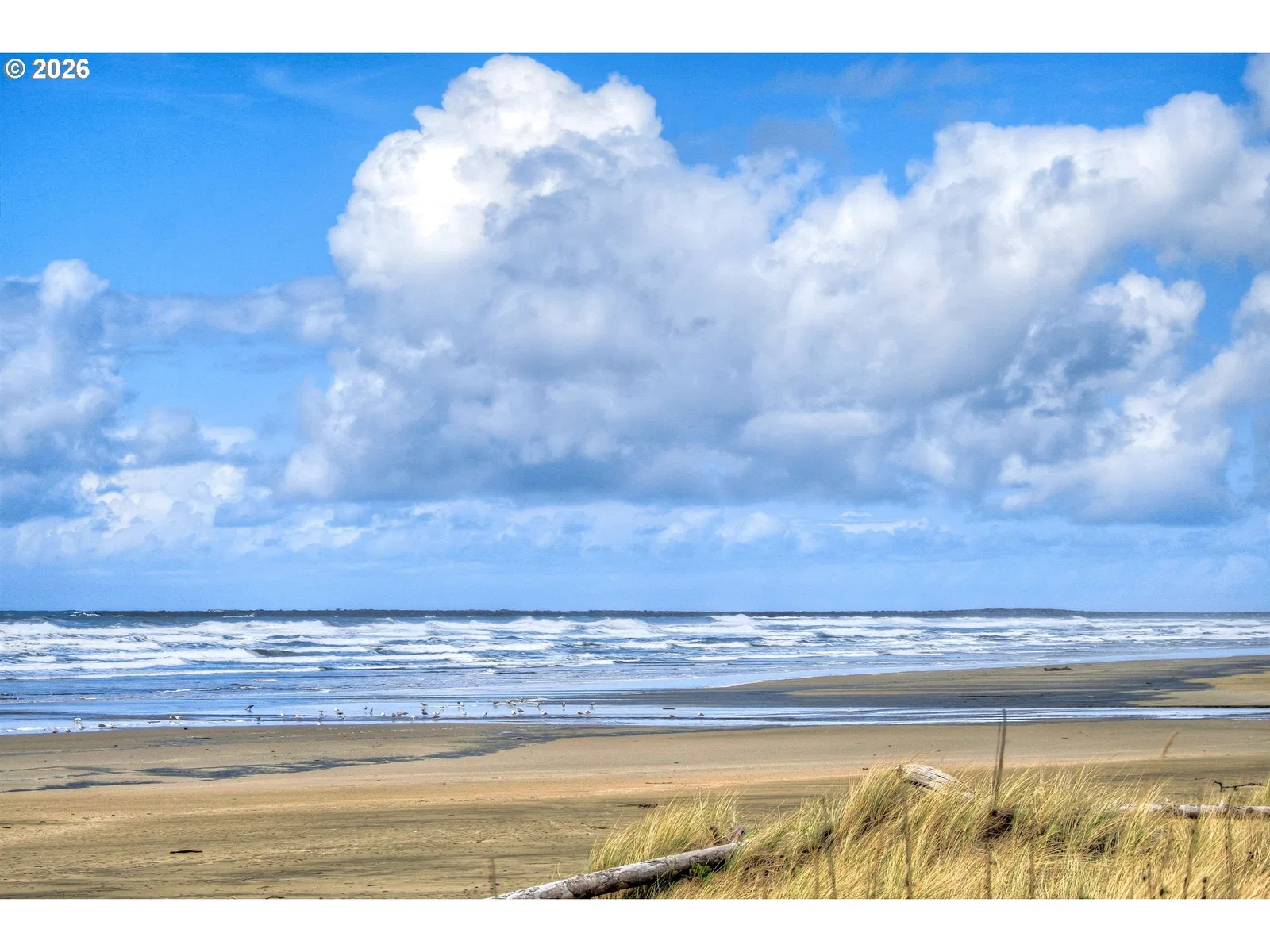 5944 SW Cupola Dr 2, South Beach, OR 97366 — photograph 47