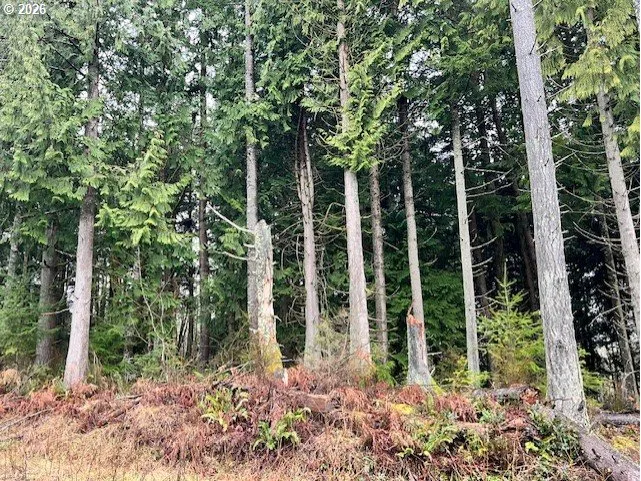 76781 Palm Hill Rd, Clatskanie, OR 97016 — photograph 9