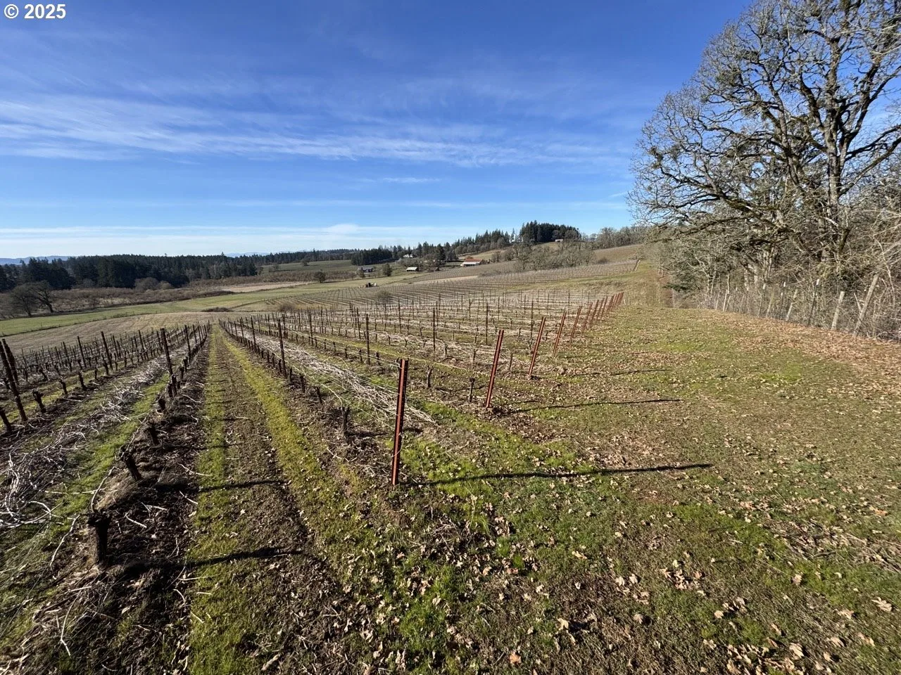 7900 NE Oak Springs Farm Rd, Carlton, OR 97111 — photograph 20