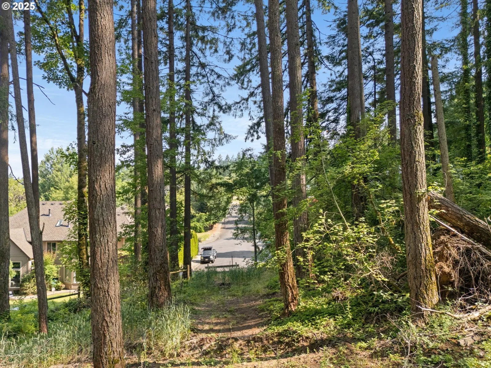 100 NE Tuality Way NW, Portland, OR 97229 — photograph 6