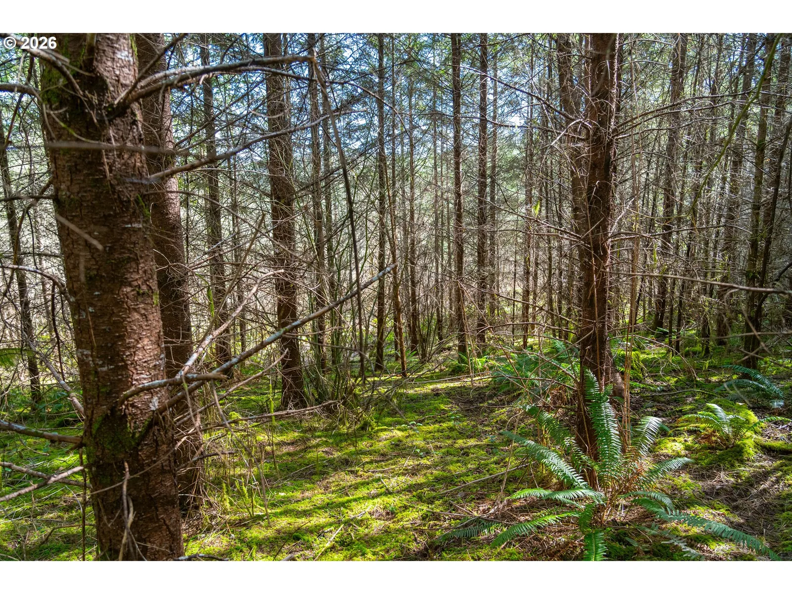 0 Bellinger Rd, Lebanon, OR 97355 — photograph 11