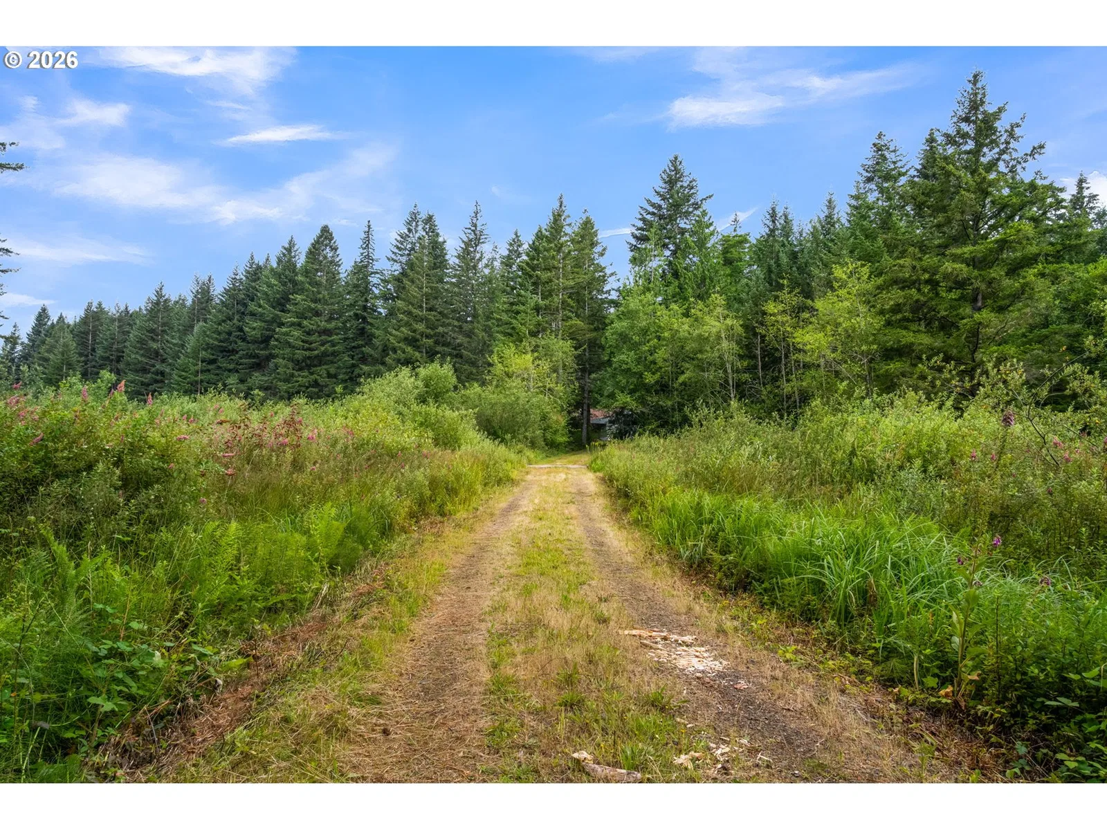 3832 NE Cavitt Rd, Camas, Wa 98607 — photograph 31