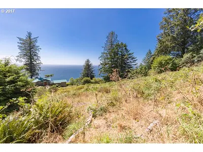 Twana Trace 1700, Manzanita, OR 97130 — photograph 1
