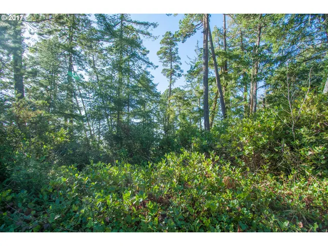 Nutmeg Ave 5300, Manzanita, OR 97130 — photograph 5