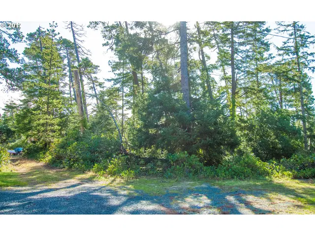 Nutmeg Ave 5300, Manzanita, OR 97130 — photograph 6