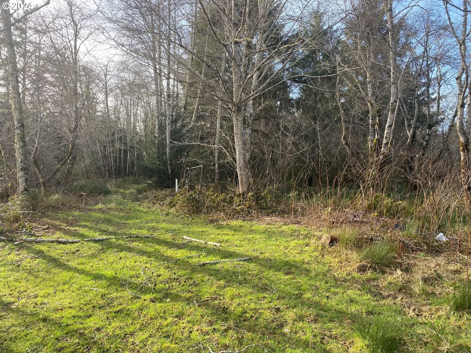 Hawkins Rd, Warrenton, OR 97146 — photograph 10