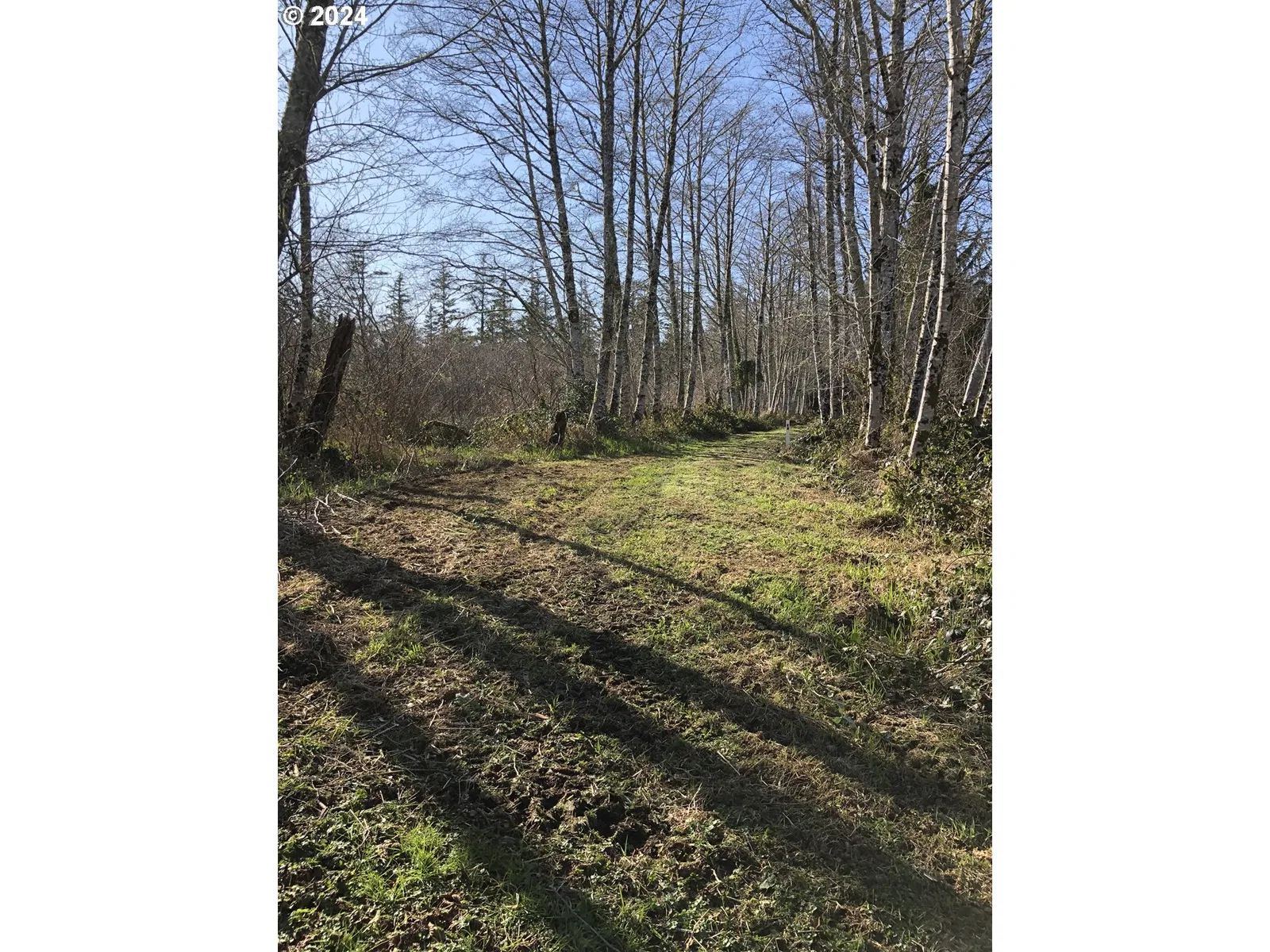 Hawkins Rd, Warrenton, OR 97146 — photograph 15