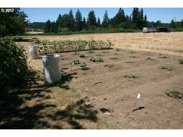 18201 SW Edy Rd, Sherwood, OR 97140 — photograph 10