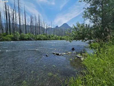 Land at 52262 McKenzie Hwy, Blue River, OR 97413