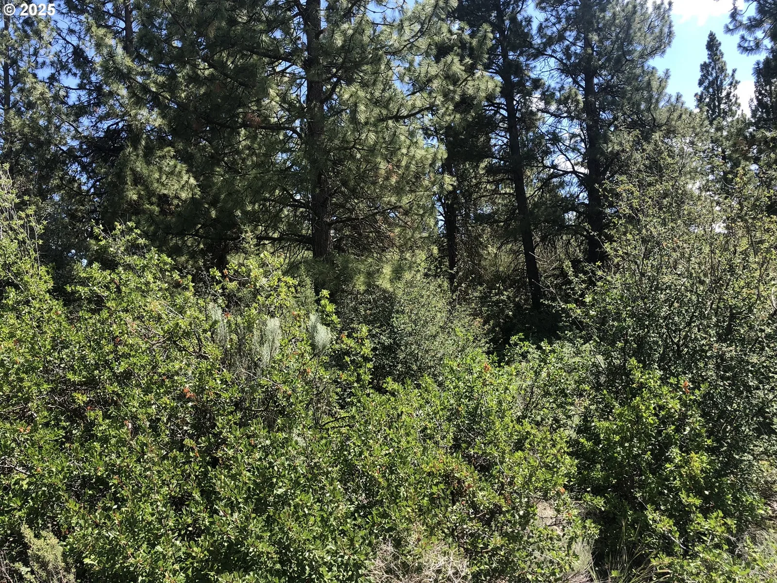 Margi Way 7, Chiloquin, OR 97624 — photograph 8