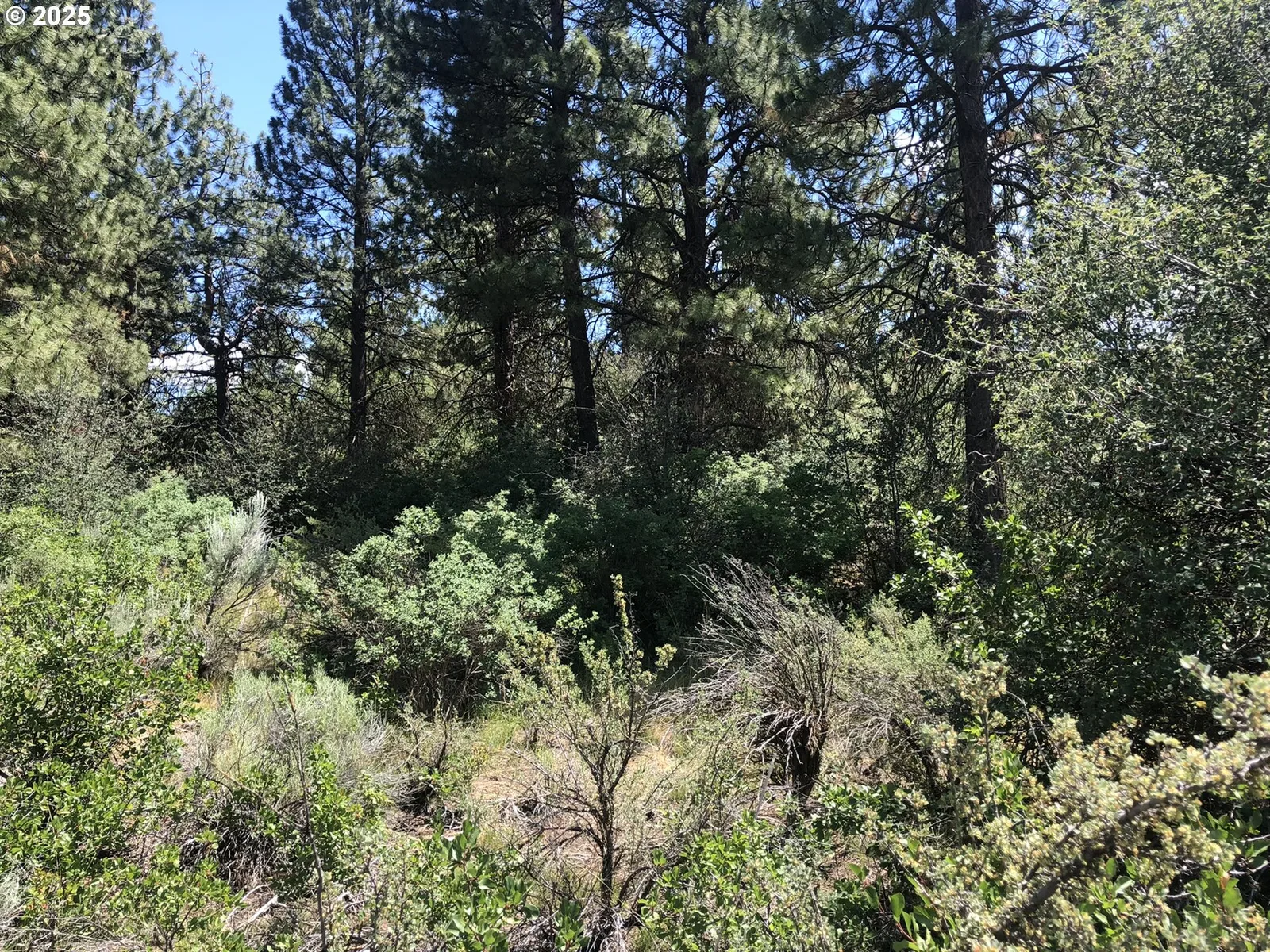 Margi Way 7, Chiloquin, OR 97624 — photograph 10