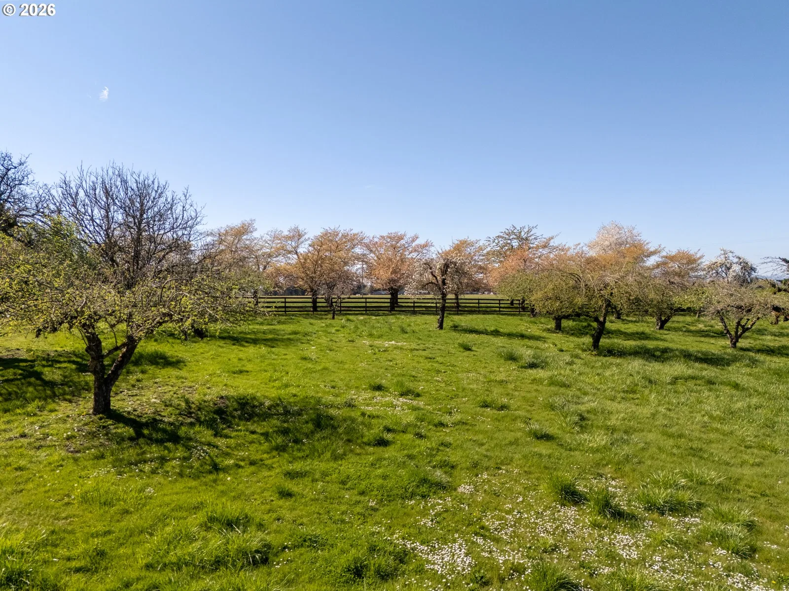 21200 SE Old Bethel Rd, Amity, OR 97101 — photograph 40