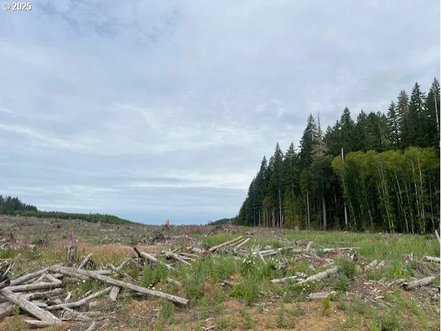 Northrup Creek Rd, Birkenfeld, OR 97016 — photograph 10