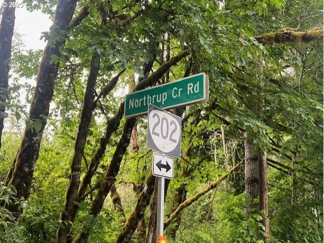 Northrup Creek Rd, Birkenfeld, OR 97016 — photograph 13