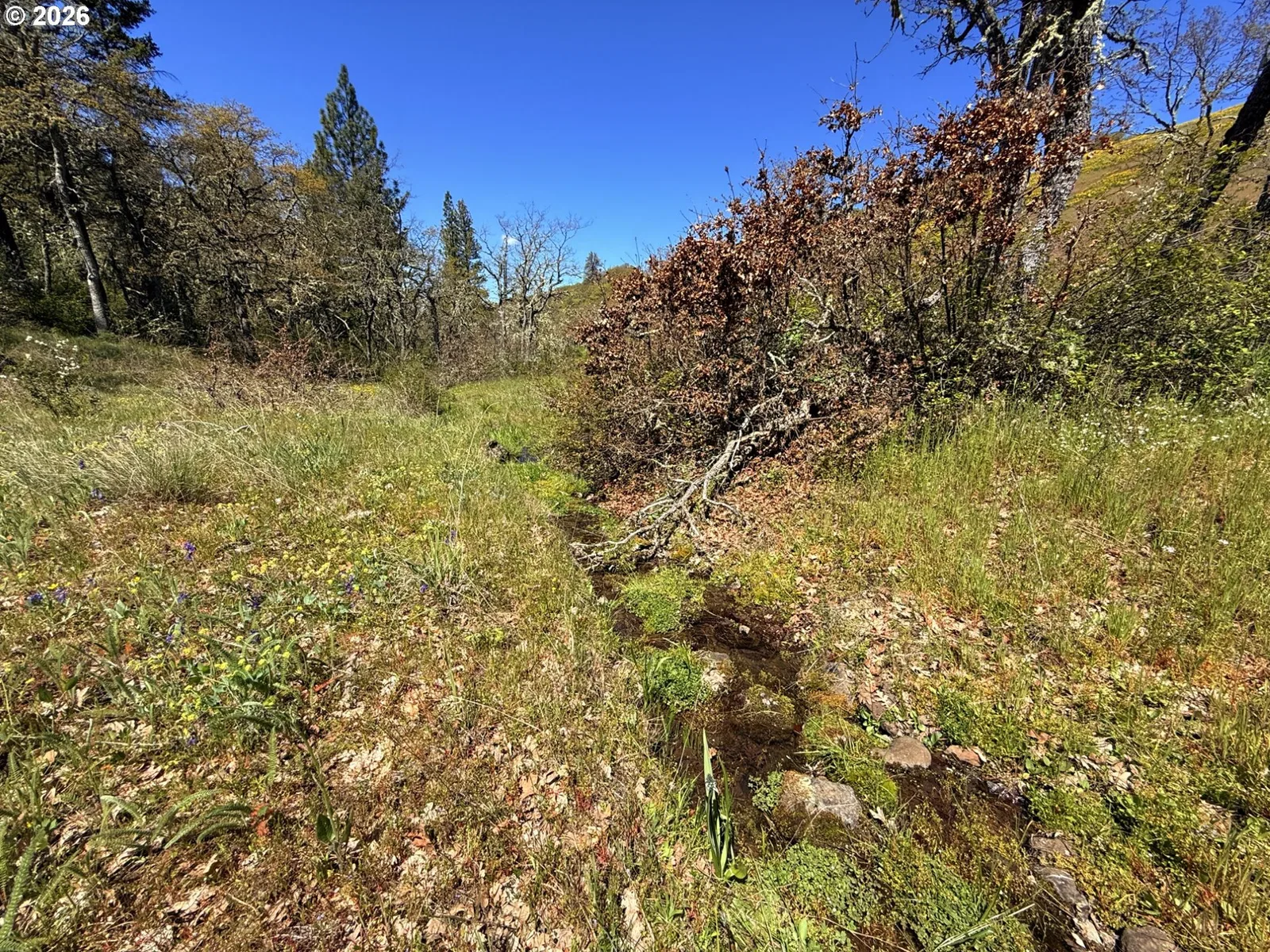 Kestrel Rd, Lyle, Wa 98635 — photograph 6