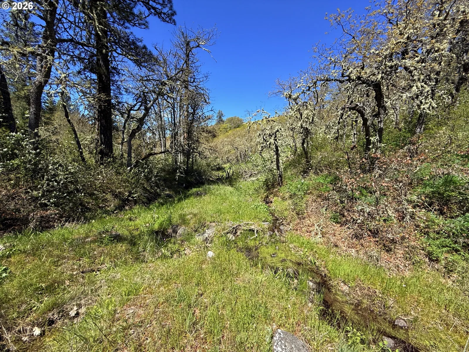 Kestrel Rd, Lyle, Wa 98635 — photograph 12