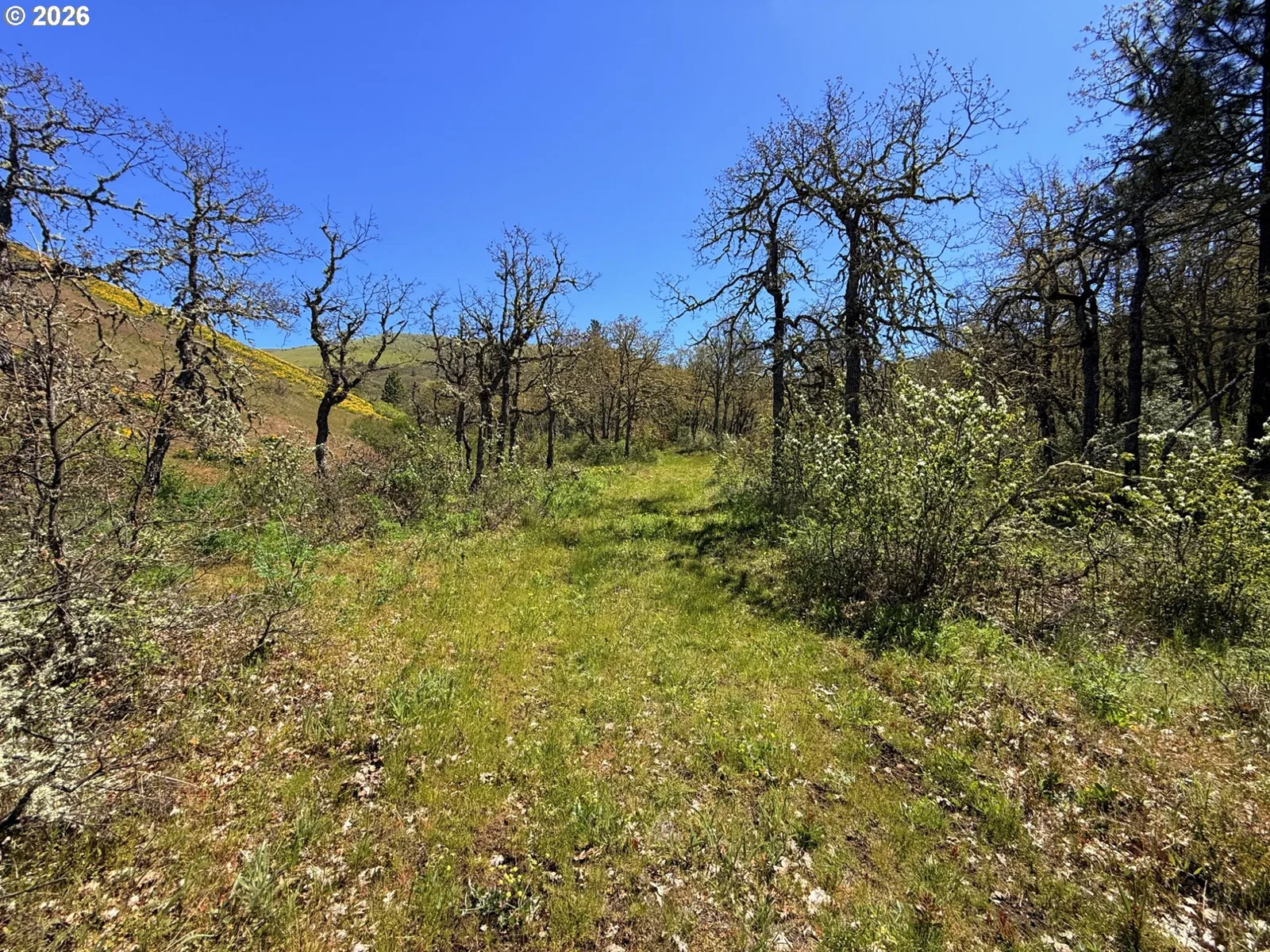 Kestrel Rd, Lyle, Wa 98635 — photograph 13