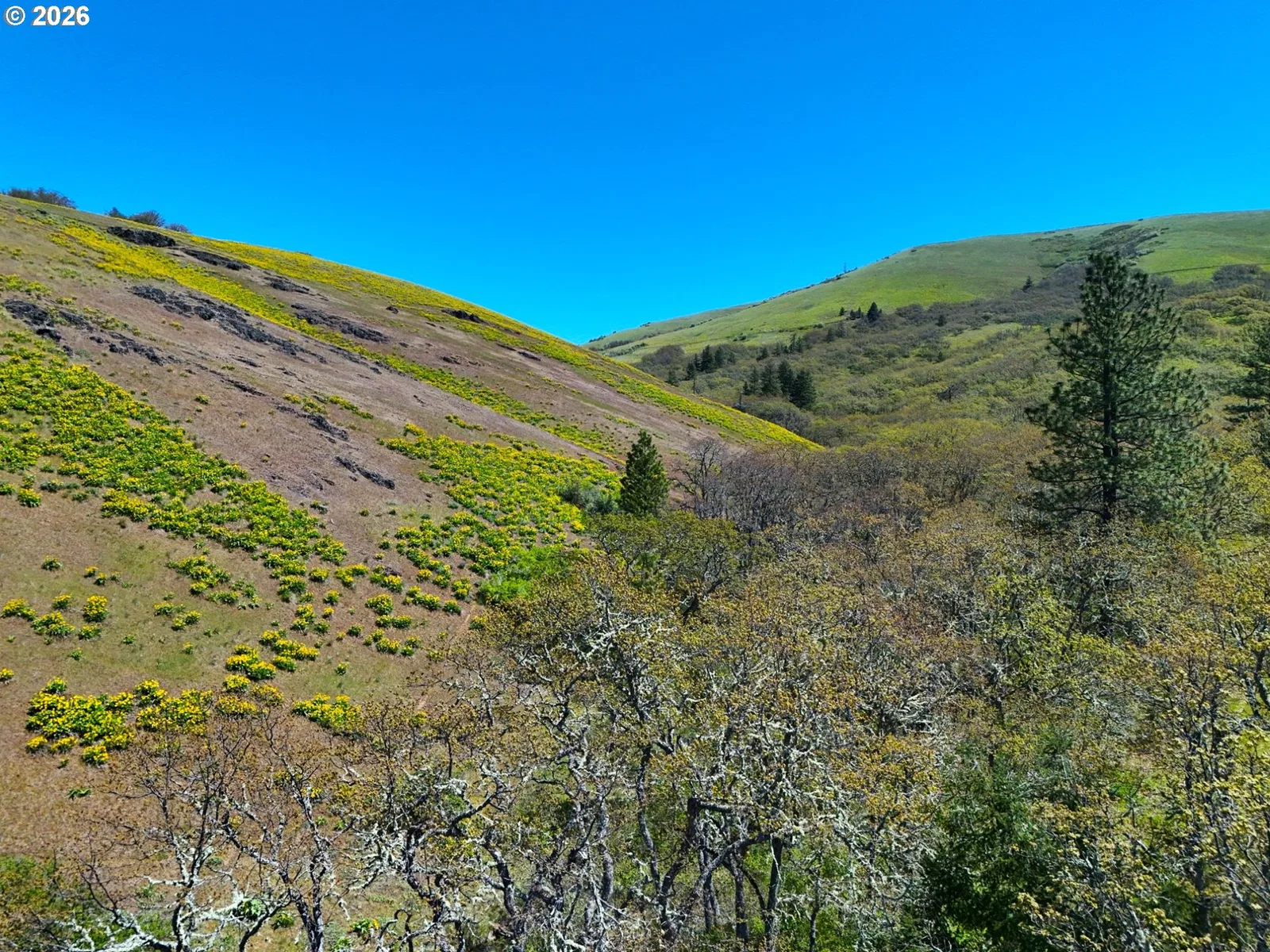 Kestrel Rd, Lyle, Wa 98635 — photograph 15