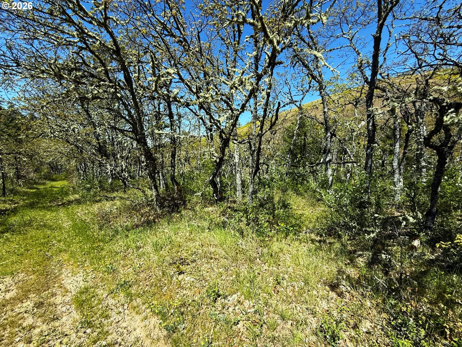 Kestrel Rd, Lyle, Wa 98635 — photograph 24