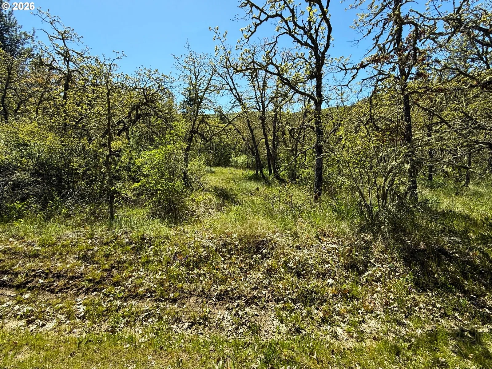 Kestrel Rd, Lyle, Wa 98635 — photograph 25
