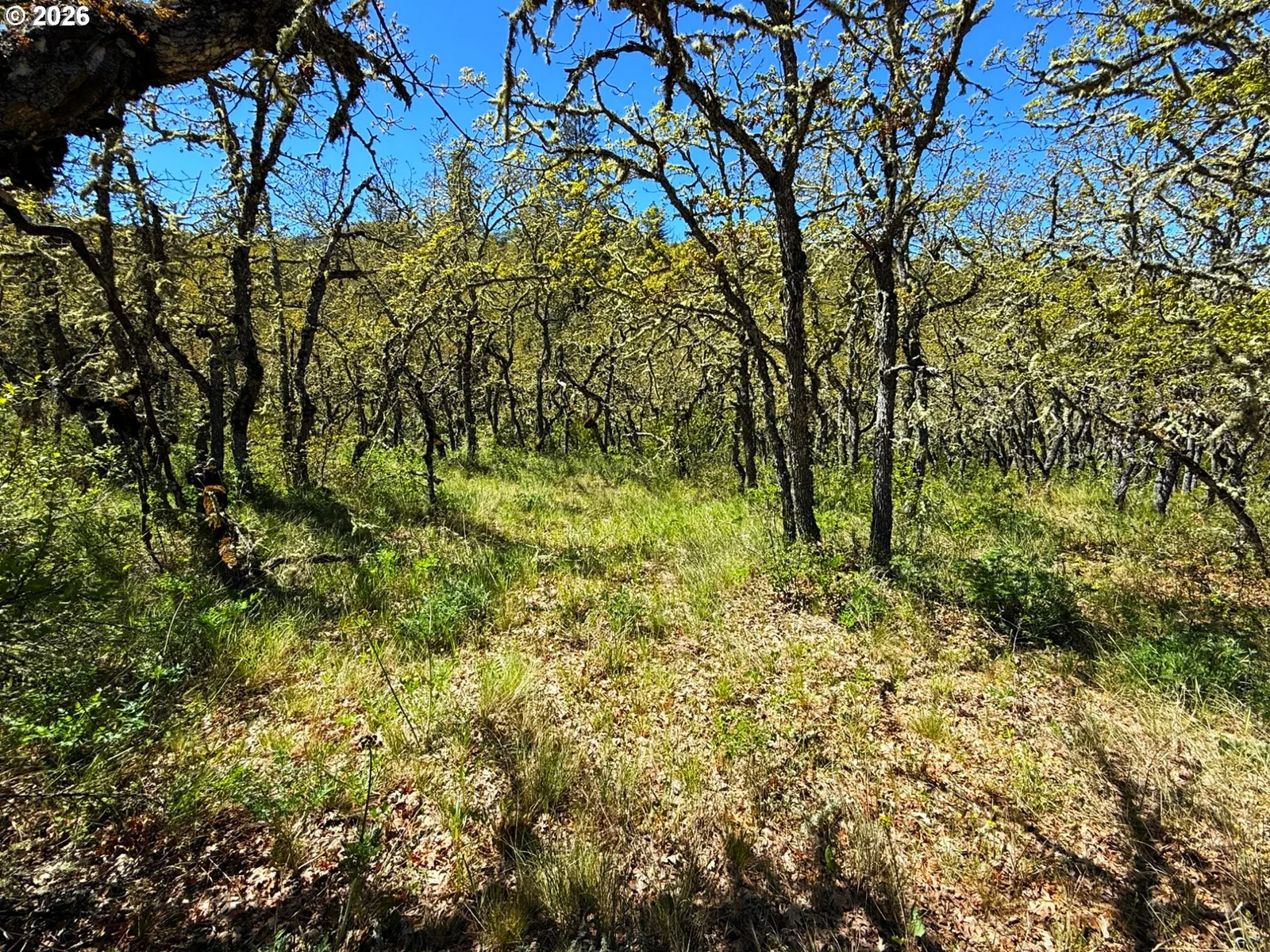 Kestrel Rd, Lyle, Wa 98635 — photograph 26