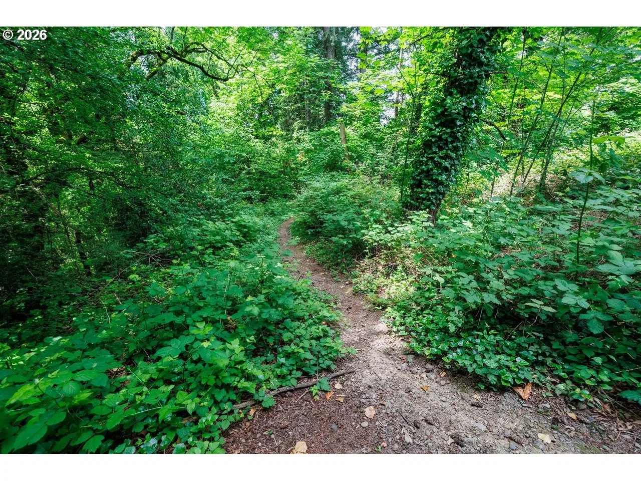 12706 SE 110th Ct, Clackamas, OR 97015 — photograph 15