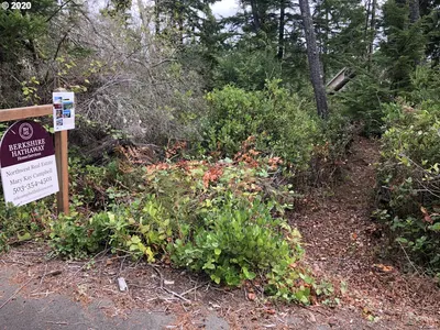 19th St Lot 6, Manzanita, OR 97130 — photograph 1