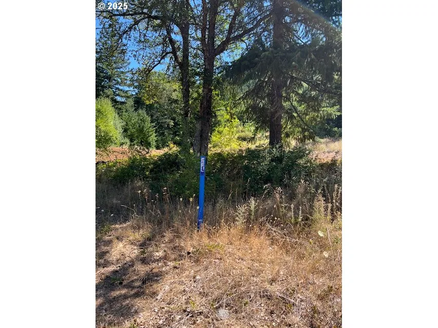 3355 James Rd, Hood River, OR 97031 — photograph 21