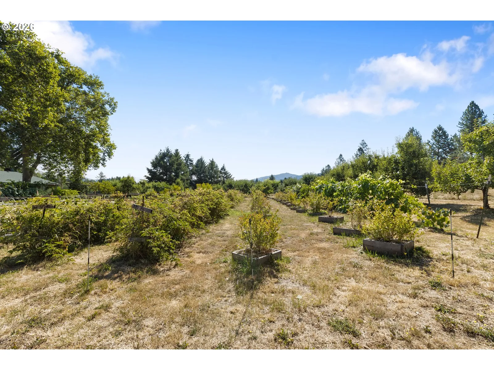 220 Faver Dr, Riddle, OR 97469 — photograph 40