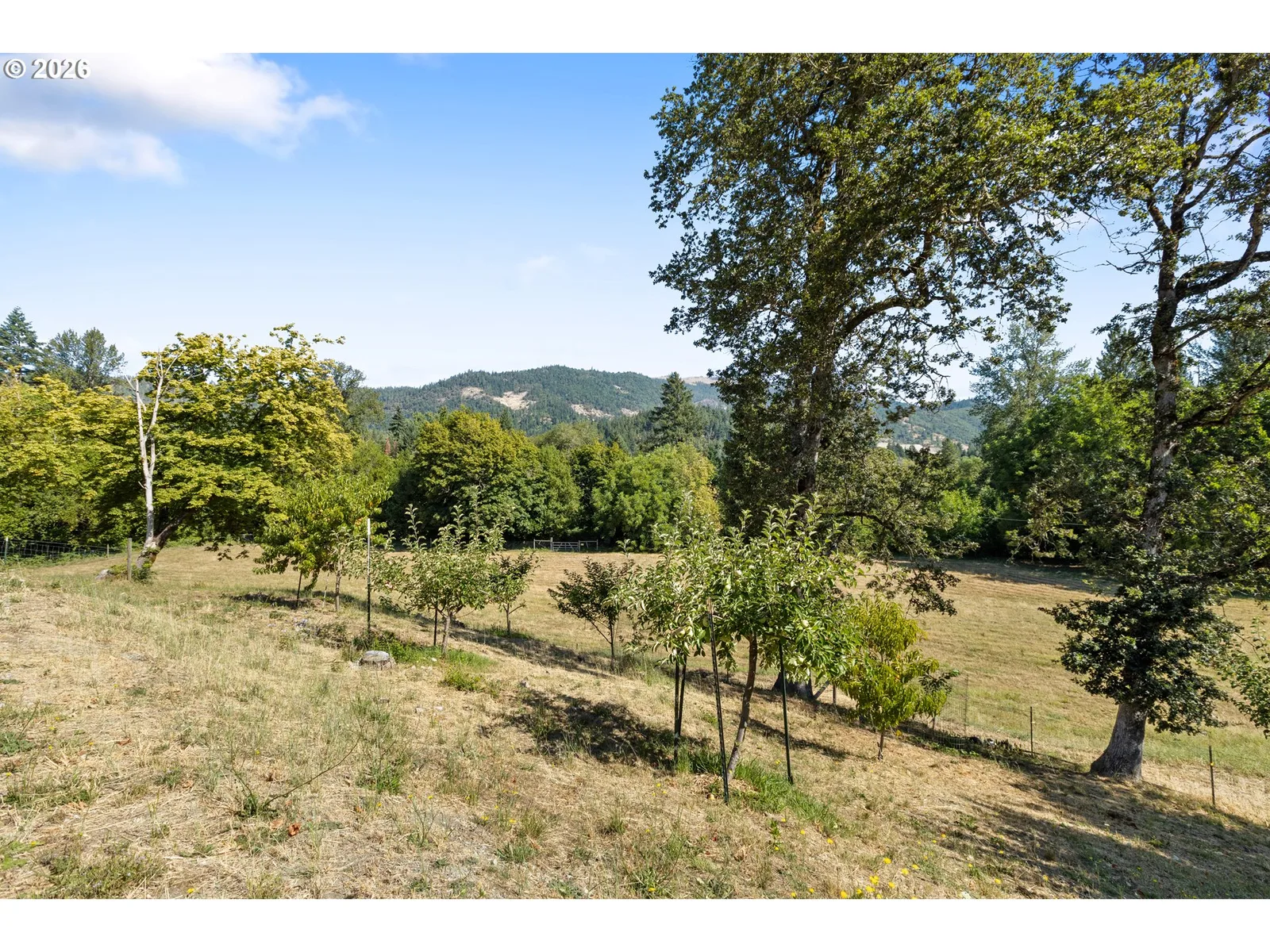 220 Faver Dr, Riddle, OR 97469 — photograph 39