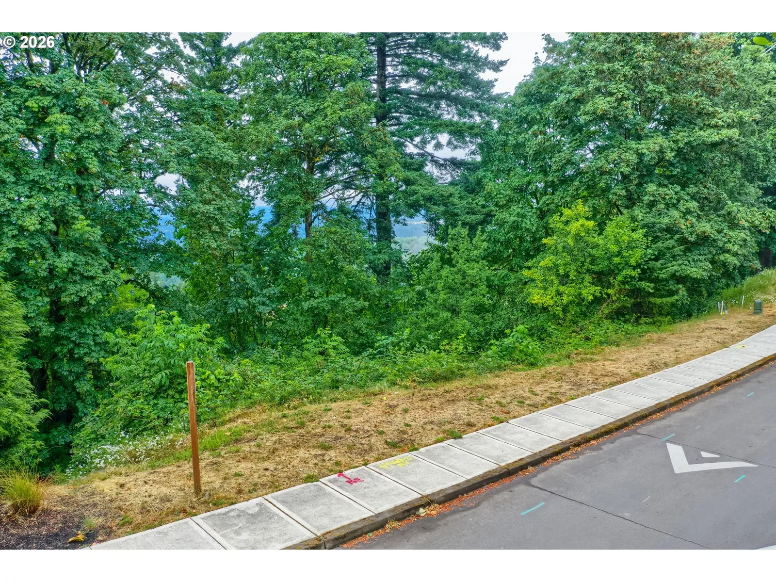 10945 SE Scotts Summit Ct, Happy Valley, OR 97086 — photograph 10