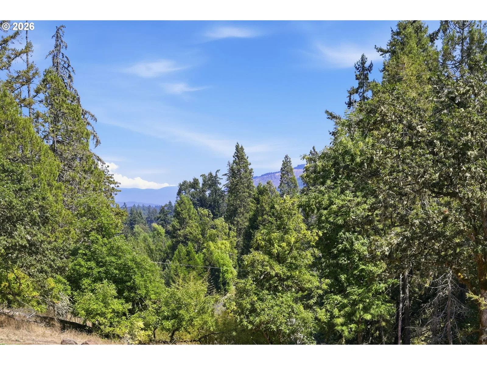 39639 Jasper Lowell Rd, Lowell, OR 97452 — photograph 33
