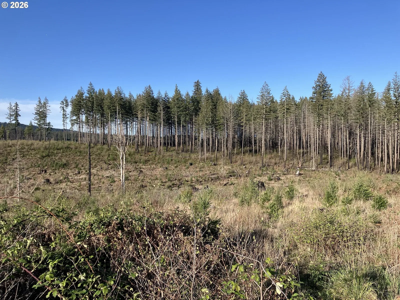 00 S Benjamin Rd, Estacada, OR 97023 — photograph 6