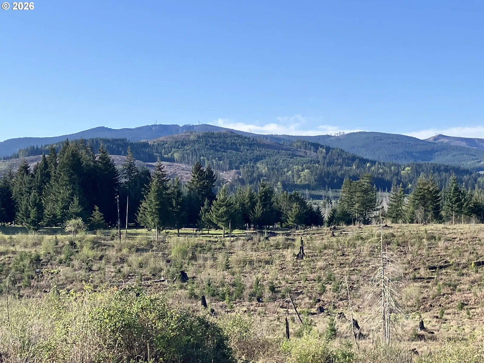 00 S Benjamin Rd, Estacada, OR 97023 — photograph 7