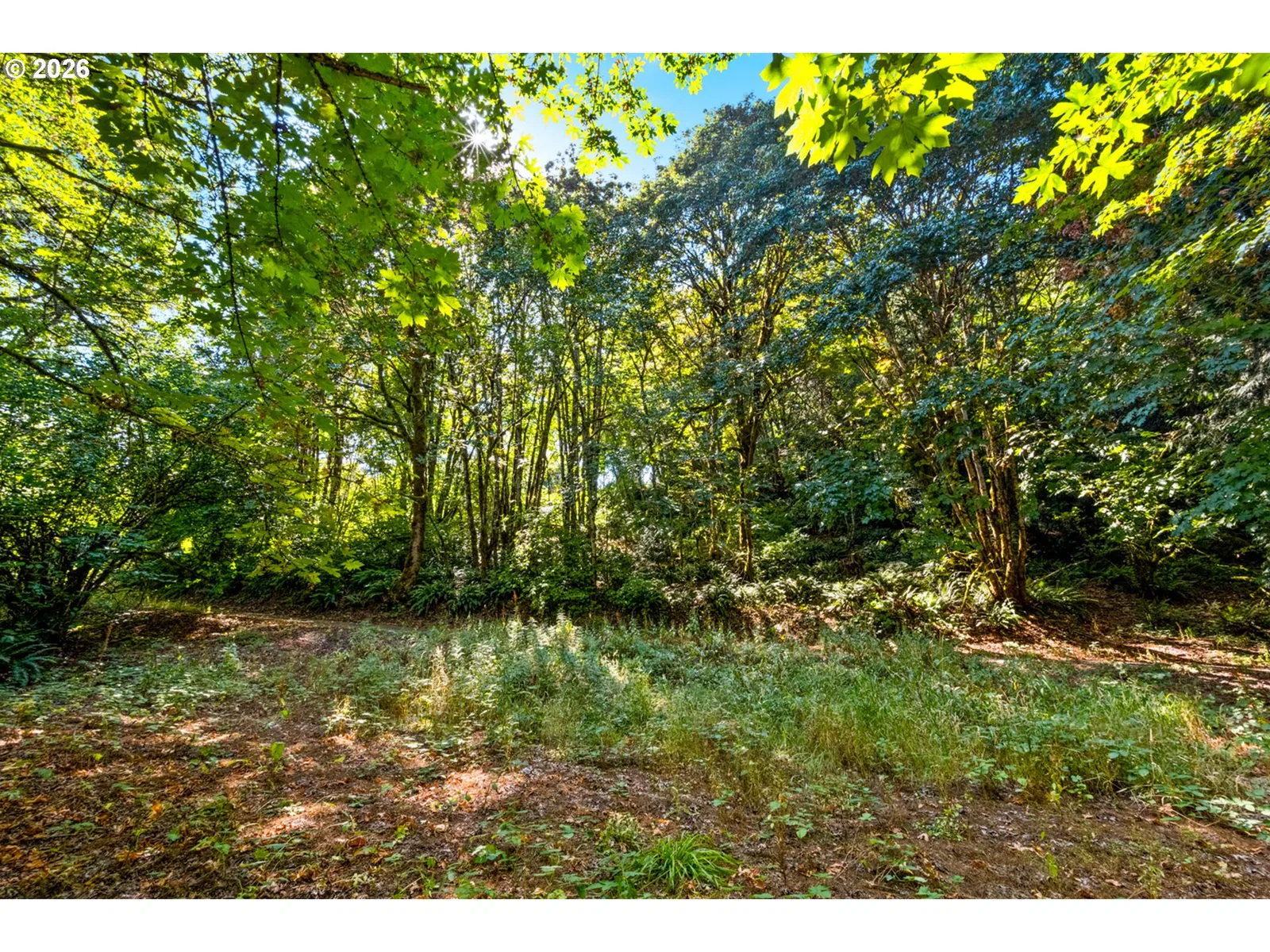 39383 NW Maller Ln, Banks, OR 97106 — photograph 44